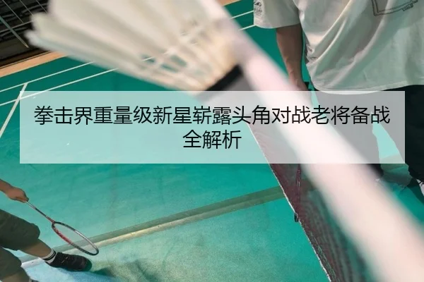 拳击界重量级新星崭露头角对战老将备战全解析